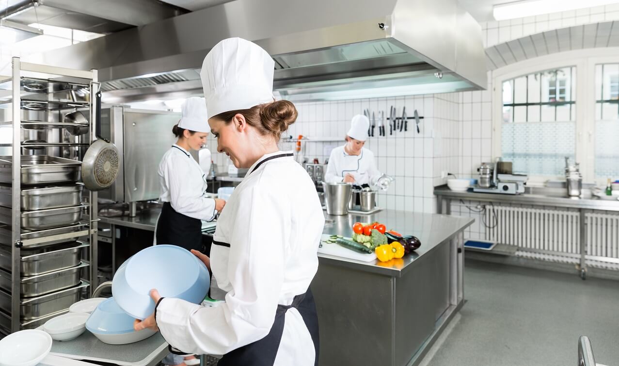 Commercial Kitchen - Pest Control is a must