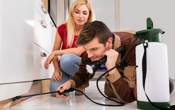 Brisbane Pest Control technician treating apartment or townhouse interior for bug infestation